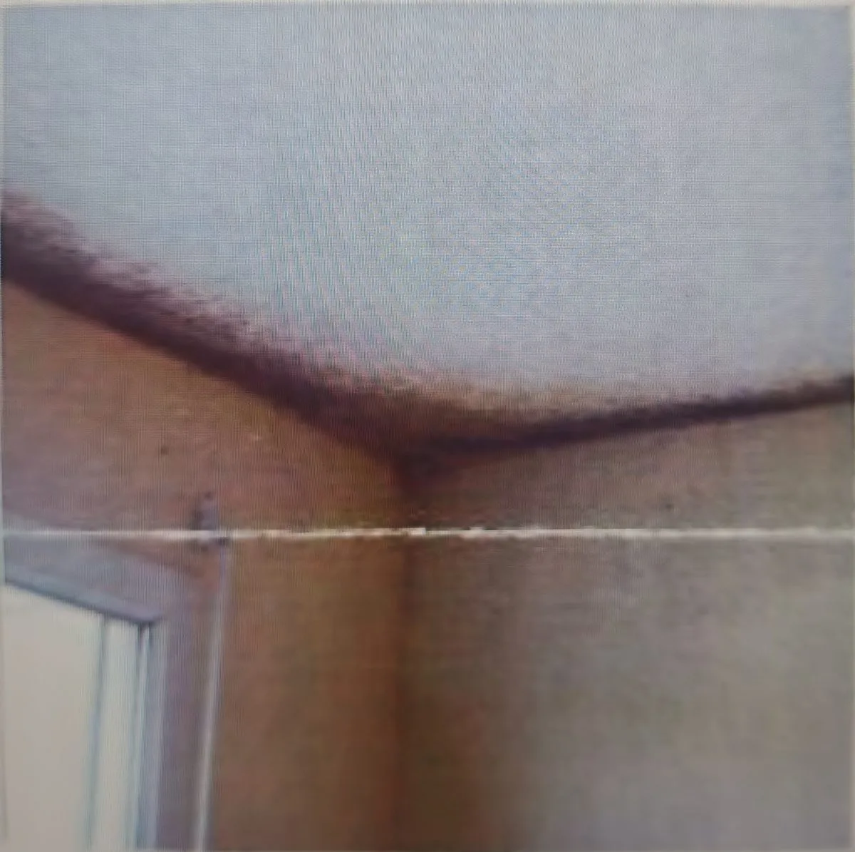 Moisissures en bandeau liaison dalle façade — condensation périphérique